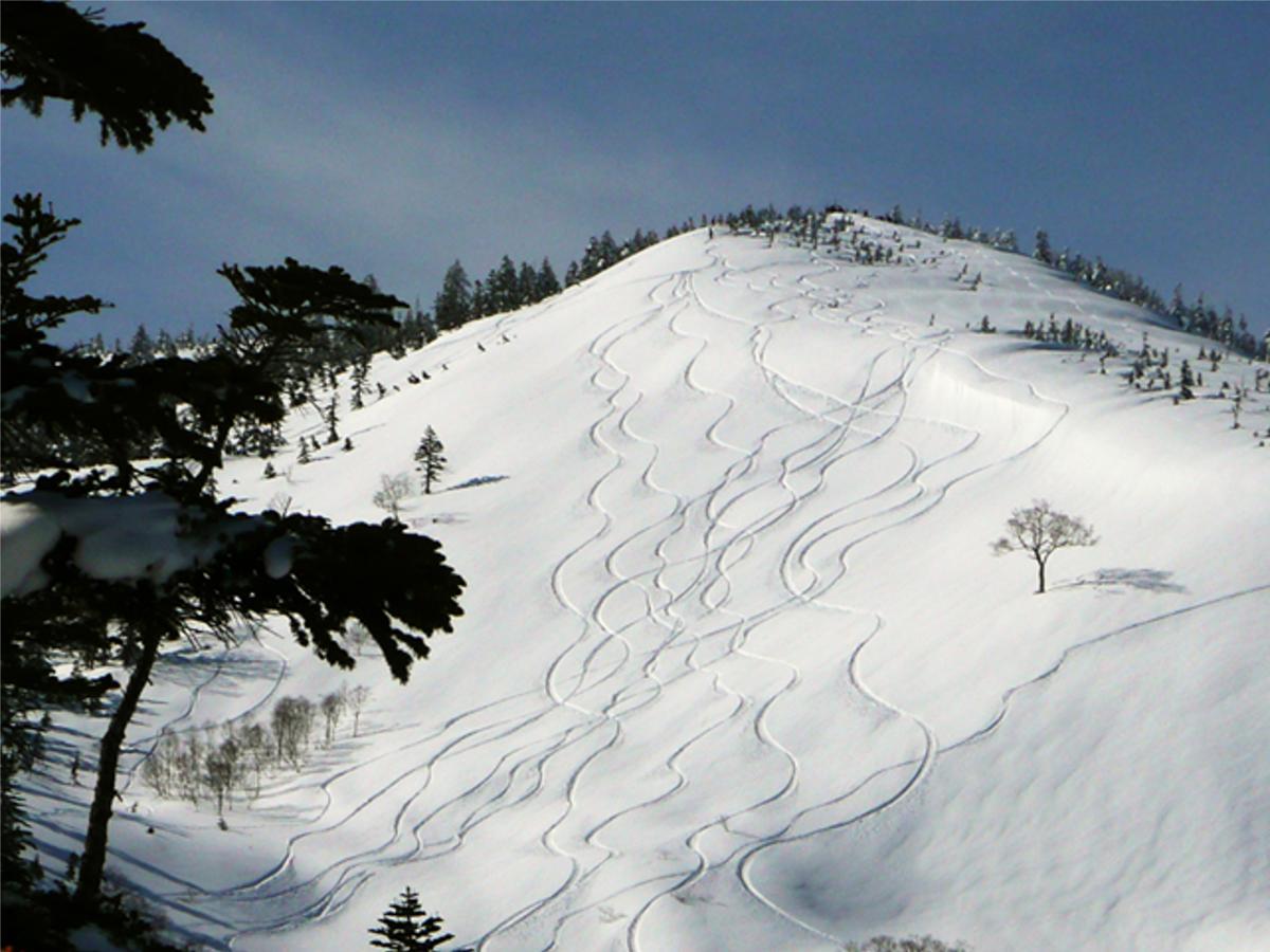 Kagura White Horse Inn Yuzawa  Esterno foto